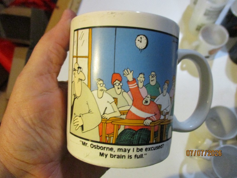 THE FAR SIDE GARY LARSON MR OSBORNE (TEACHER) MY BRAIN IS FULL VINTAGE 1986 MUG