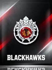 CHICAGO BLACKHAWKS LOGO 2X3 FRIDGE MAGNET NHL HOCKEY FAN SOUVENIR PUCK