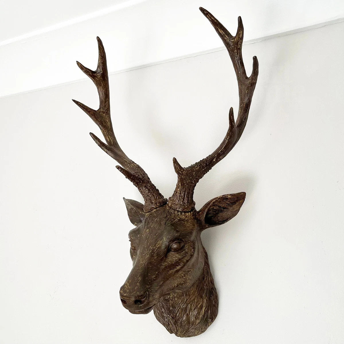 Elk Antler Wall Mount - Large