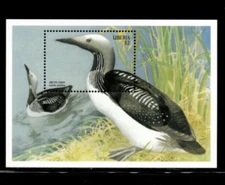 Liberia 1999 - Sea Birds of the World - Souvenir Stamp Sheet - MNH