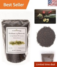 Nutritious Broccoli Sprouting Seeds - Heirloom Waltham 29 1LB Resealable Bag