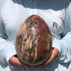 7.5LB Natural wood fossil Quartz Crystal egg  Mineral specimen Healing — photo 8