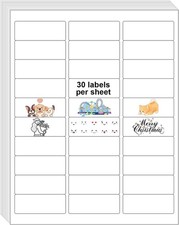 30 UP 3000 Stickers 100 Sheets 1" x 30UP (1" x 2-5/8"), 100 Sheet=3000 Labels 