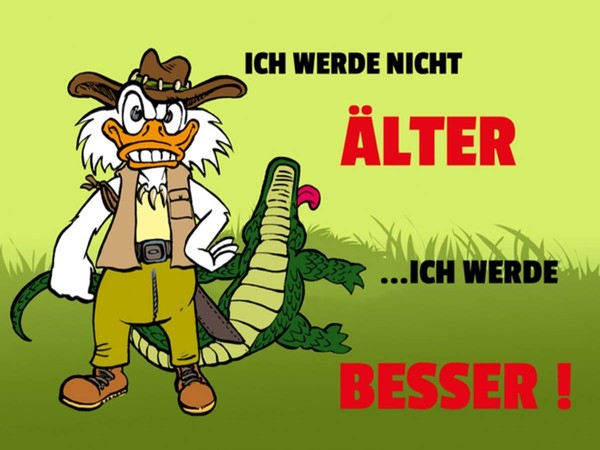 Holzschild 30X40 Cm Werde Nicht äLter Werde Besser Deko Geschenk Holz Schild-image
