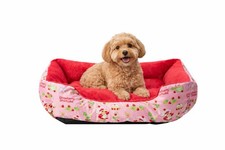 Pet Bed Soft Plush Cuddler Bed for Small Dogs and Cats