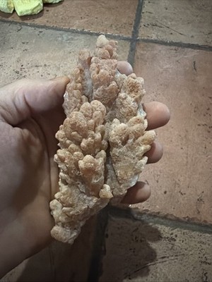 Flos Ferri Aragonite 284gr