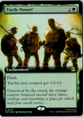 Turtle Power! (Extended Art) R Foil Teenage Mutant Ninja Turtles 275 NM