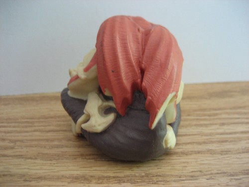 Vintage Star Wars Jar Jar Binks PVC Figure Sitting Crossed Legs 2.5" Figure Rare - Picture 7 of 9