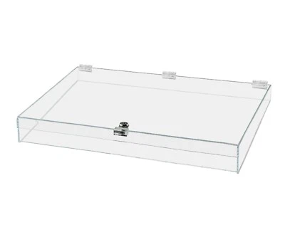 MARKETING HOLDERS 24"W x 18"D x 3.75"H Acrylic Locking Display Case with Lid and Keys