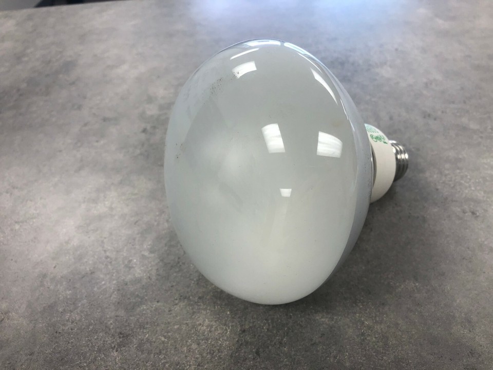 Philips Marathon 20W CFL R40 120V 2700K Flood Lamp | eBay