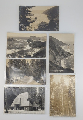 RPPC Redwood Highway Real Photo Postcards  Lot Of 6 Patterson Nature Vintage