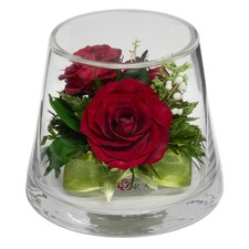 Long Lasting Real Roses in Sealed Vase Lasts up to 5 Years Unique Present Gift