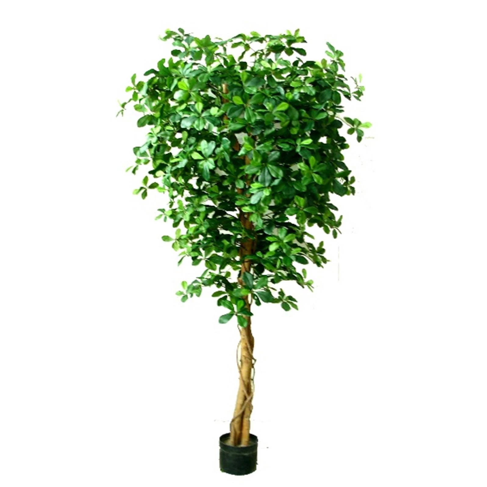 180cm Fire Retardant Black Olive - 70587