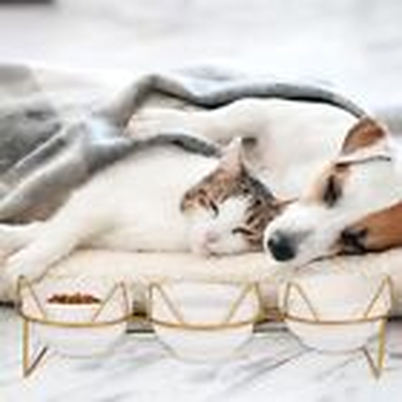 Elevated Cat Bowls with 3 Ceramic Bowls,5 Inches Food & Water Bowls 15