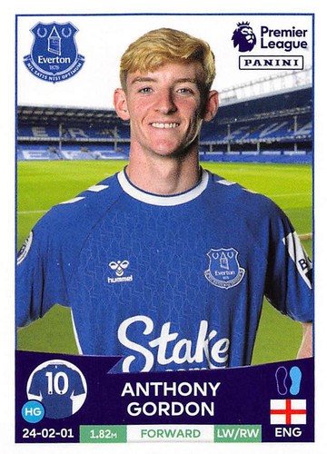 ADESIVO PANINI PREMIER LEAGUE 2023 - #226 - #433 EVERTON - MAN CITY 2022/23 - Foto 20 di 209