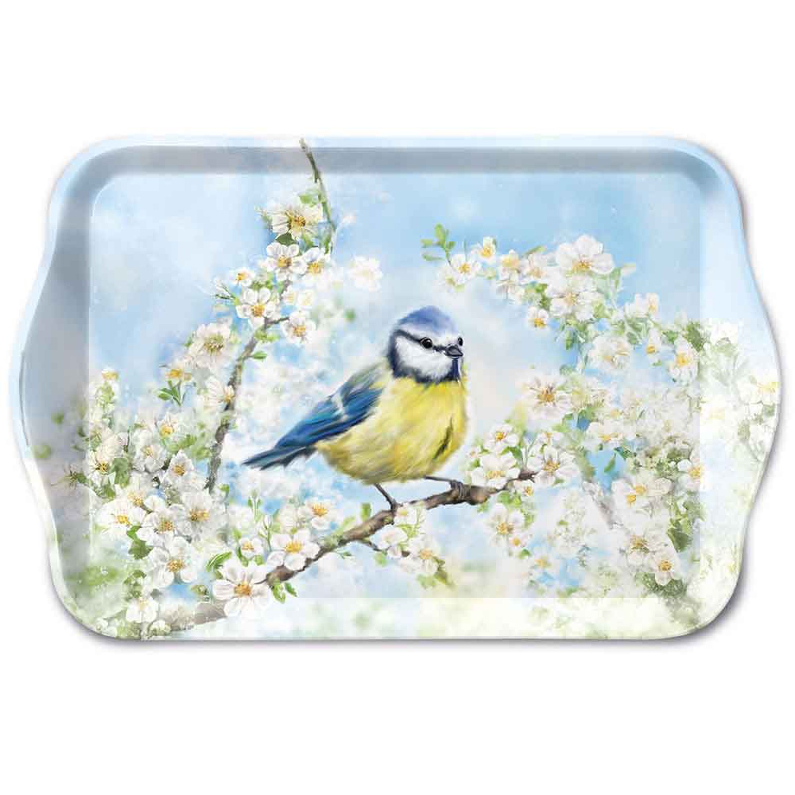 Garden Birds Melamine Tray Bluetit Blossom Small Serving Tray Bird Lover Gift