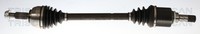 Triscan Antriebswelle 8540 28514 FüR Renault Megane 3 BZ0 ScÉNic JZ0 KZ0 DZ0 CC