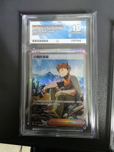 Ace Graded 10 Brock’s Scouting 276/222 Chinese Exclusive Illustration Rare NM