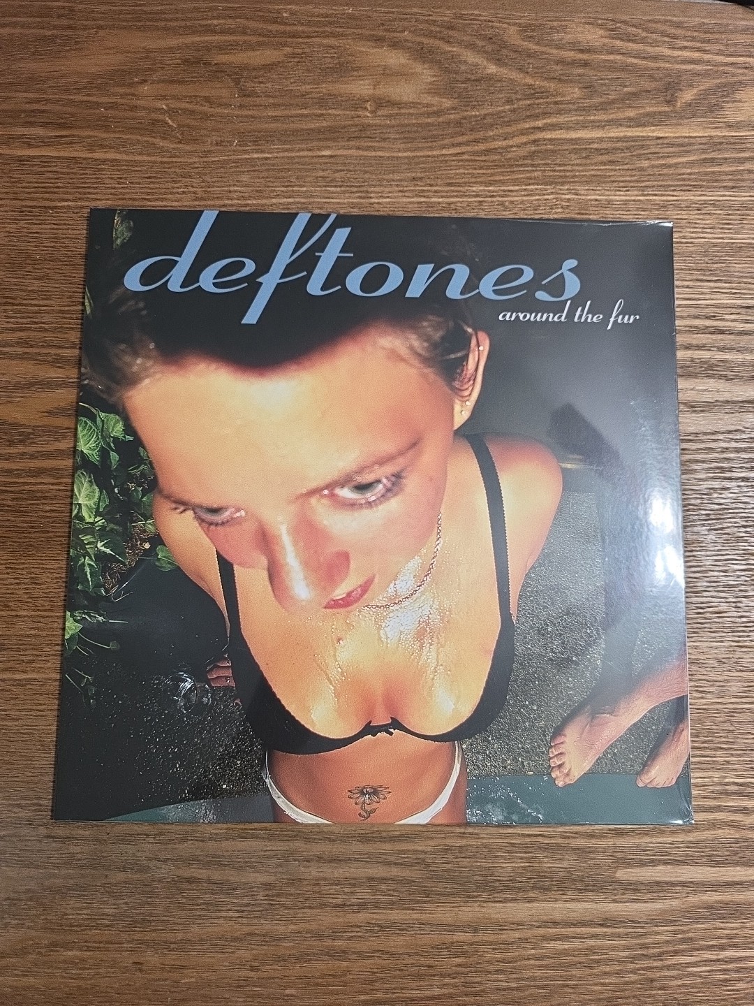 Around The Fur Vinyl LP