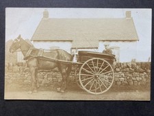 Horse & Trap Outside Country