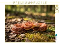Puzzle Calvendo Un Serpent Sur Le Sol De La ForêT | 1000 PièCes, Format Assemblé