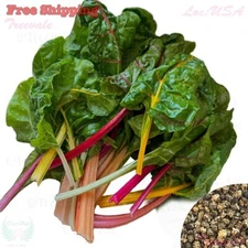 Rainbow Mixture Swiss Chard Seeds | Bright Lights | NON-GMO