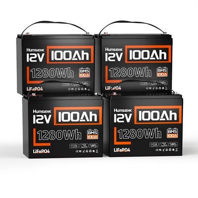 12V 100Ah 200Ah 300Ah LiFePO4 Lithium Battery 2000+ Deep Cycles RVs Solar Panels