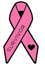 Breast Cancer Survivor Ribbon Vinyl Decal Pink Black Car Truck Laptop Sticker