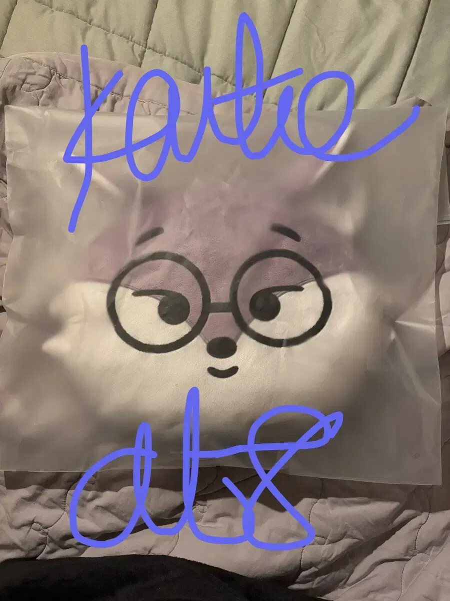 MINITEEN FOXDUNGEE 顔型クッション seventeen MINITEEN wonwoo FOXDUNGEE CUSHION | eBay