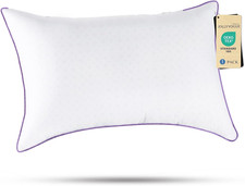 Washable Standard Size Pillow with Soft Down Alternative Filling