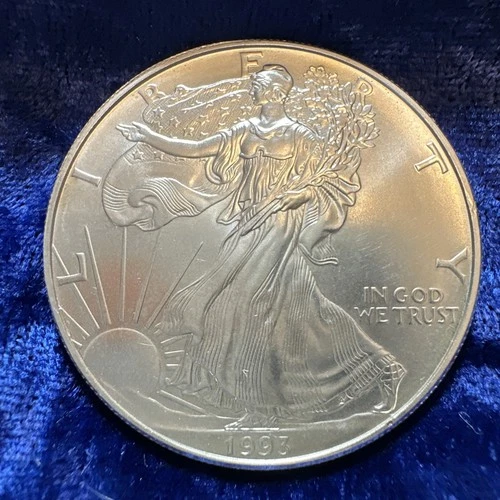 Photo of a 1993 American Silver Eagle from an eBay listing that sold on Jul 19, 2026