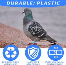 60 Pcs 8mm Bird Leg Rings - Assorted Colors Random Mix Small Bird Leg Bands f...