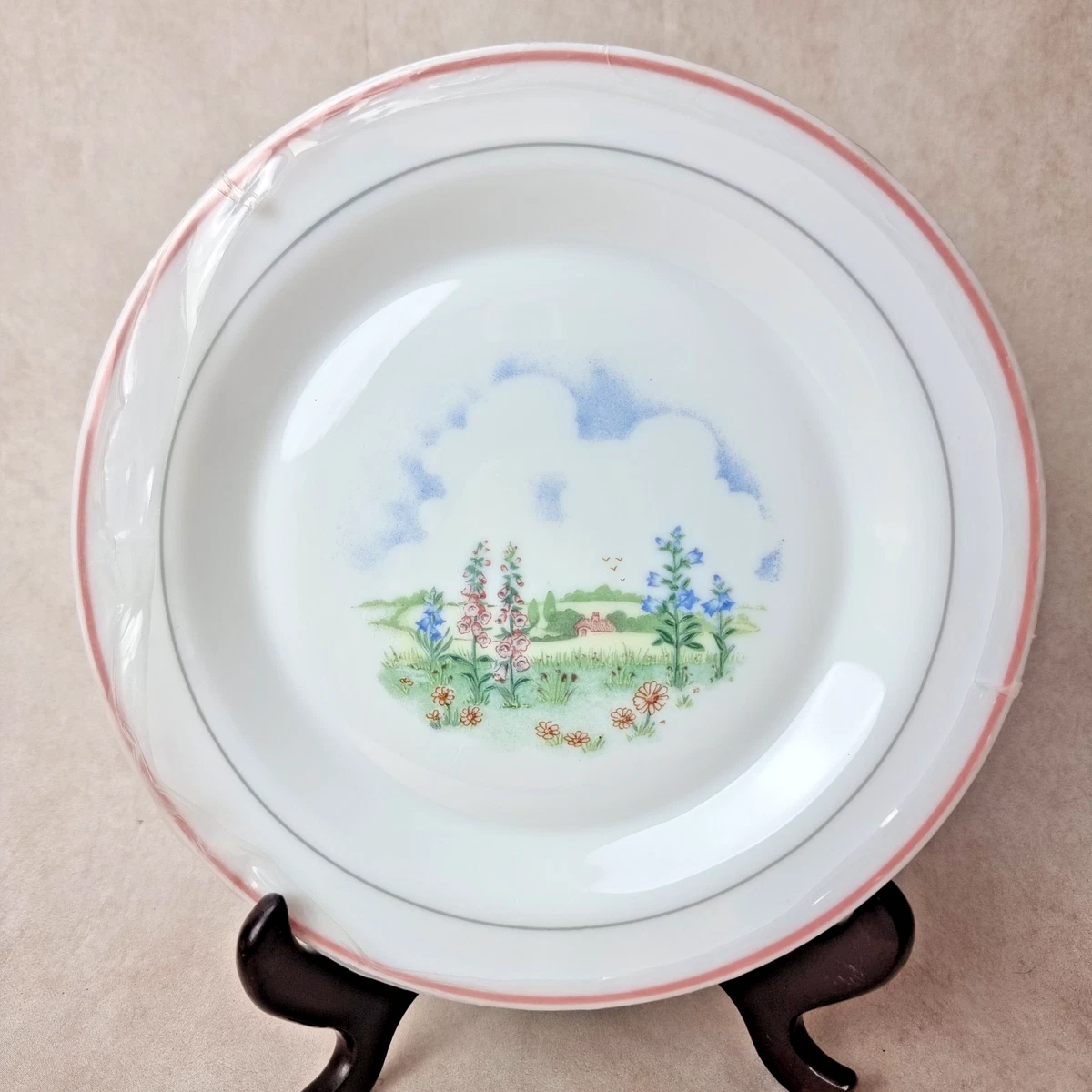 6 assiettes plates Arcopal - Camille et Paulette