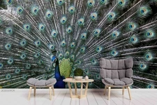 3D Beautiful Peacock Wallpaper Wall Mural Removable Self-adhesive Sticker862