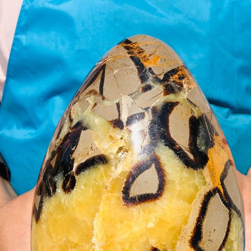 10.62LB Top Natural Dragon Septarian Crystal geode Quartz egg mineral Specimen - Picture 5 of 17