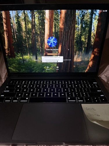Apple Macbook Pro A1989 For Parts