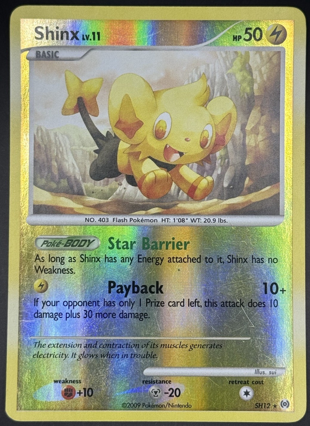 Pokémon TCG Shinx SH12 Arceus Reverse Holo Shiny Holo Rare English Card MP