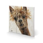 Louise Brown (Bad Hair Day) 30 x 30cm Wooden Wall Art Print