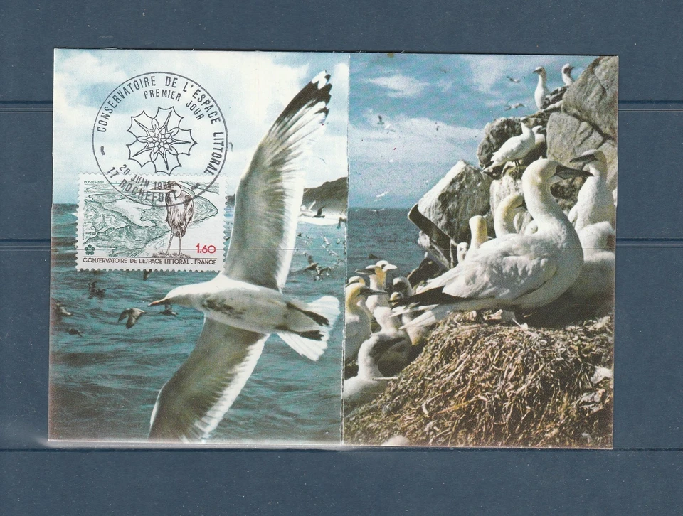carte 1er jour conservatoire du littoral oiseau 17 Rochefort 1981 - Photo 1/1