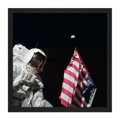 Moon Apollo 17 Astronaut Earth Flag Photo Square Framed Wall Art 16X16 In