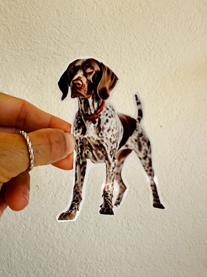 German Shorthaired Pointer Bird Dog GSP Sticker Duck Hunting Deer Buck Bow Decal