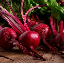 Ruby Queen Beet Seeds | Non-GMO | Heirloom | Fresh Garden Seeds