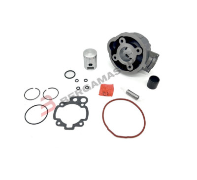 MAGNETI MARELLI ZYLINDER KOMPLETT FÜR BETA RR Enduro 50 2T Sport 2005 - 2010