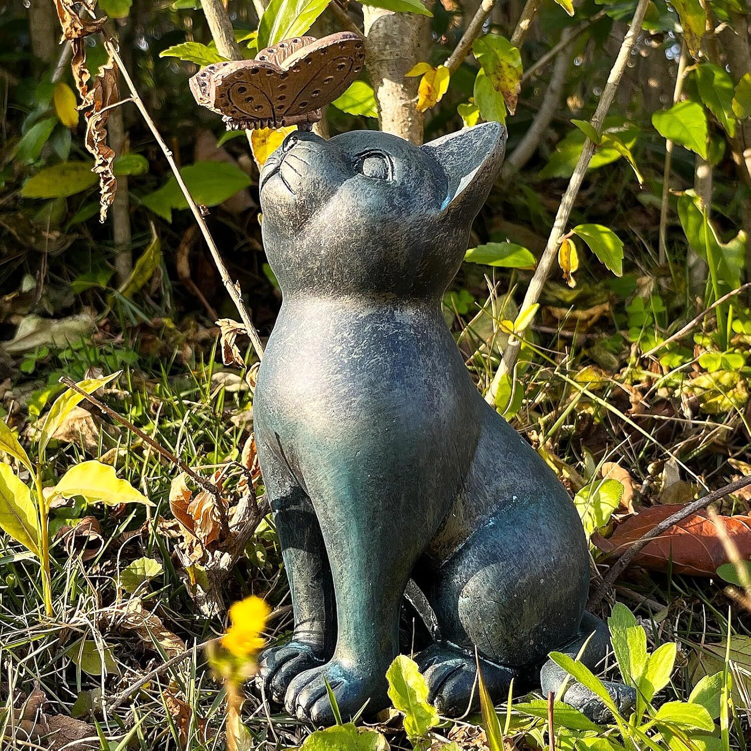 Picture 5 of 6