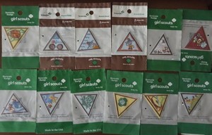 Brownie Girl Scout Lot 12 Badges