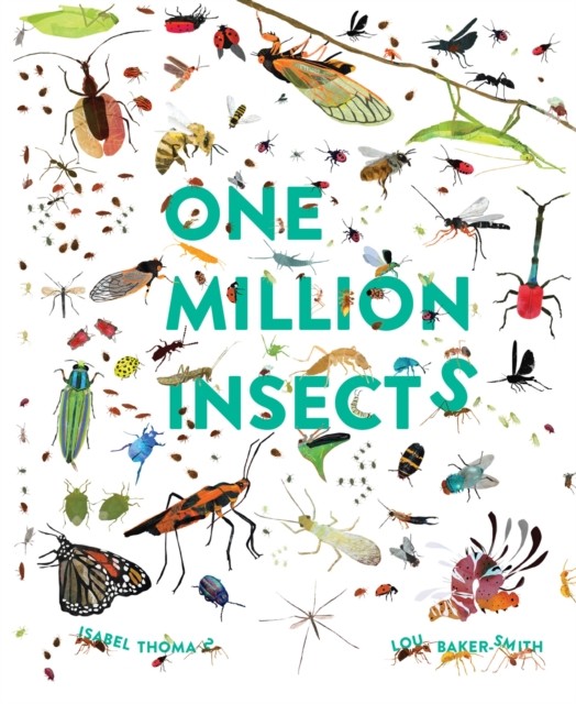 One Million Insects by Isabel Thomas (Paperback Book) - Image 5