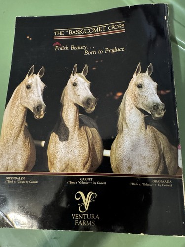 Arabian Horse World June 1988 - Picture 4 of 4