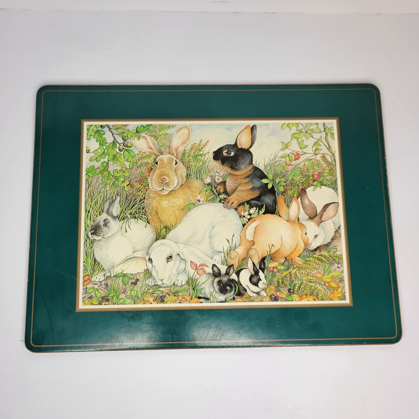 Vtg Pimpernel England Cork Back 4 Piece Placemat Set Trivet Meadow