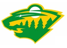 Minnesota Wild NHL Weather Resistant Vinyl Die Cut Sticker Decal 09