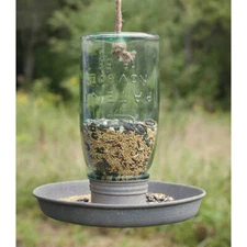Hanging Glass Mason Jar Birdfeeder